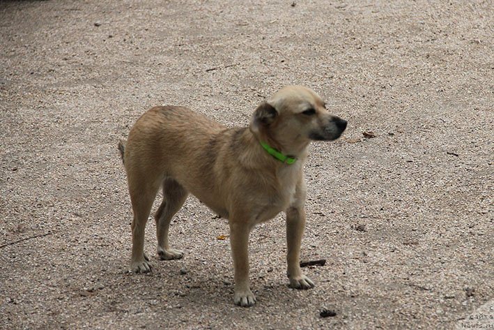 Фотография № 238707