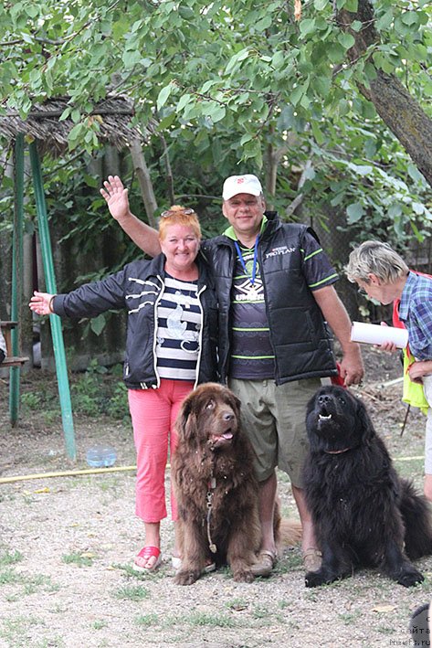 Фотография № 238716