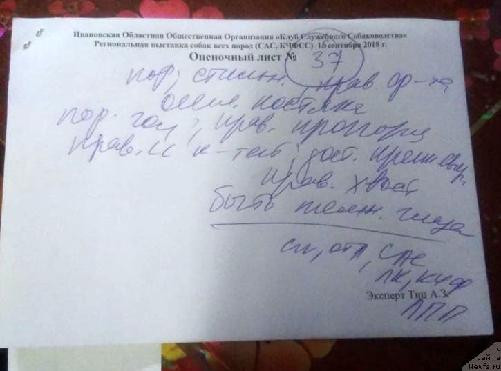 Фотография № 238760