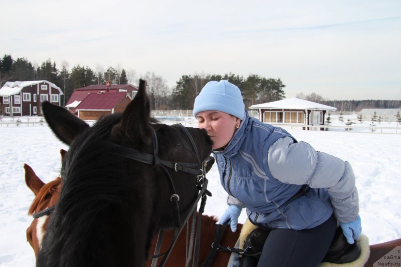 Фотография № 238767