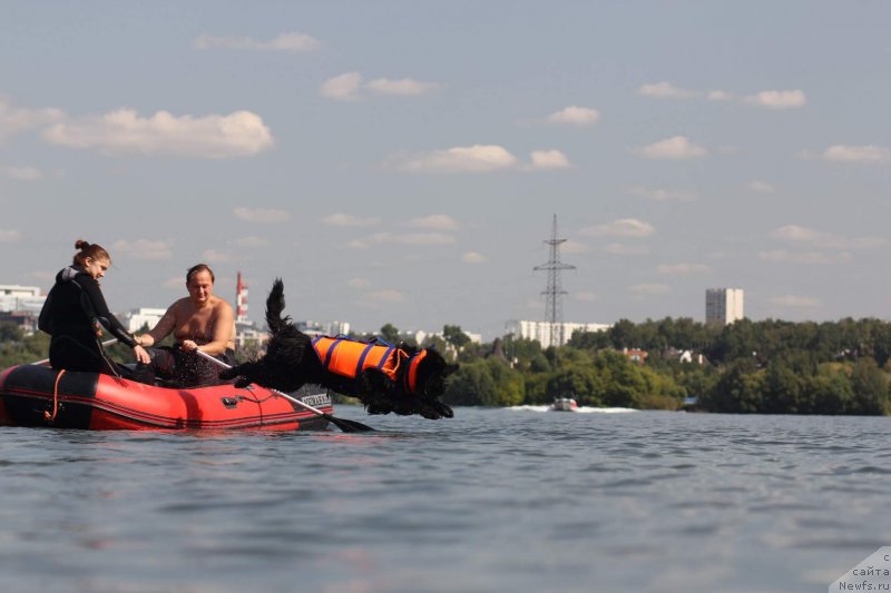 Фотография № 238781