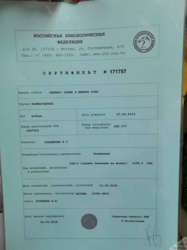 Фотография № 238789