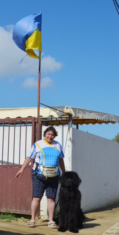 Фотография № 238874