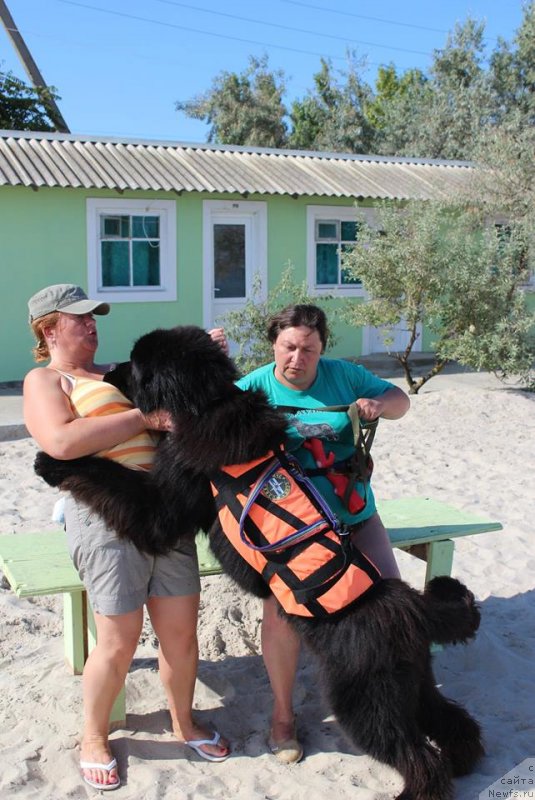 Фотография № 238876