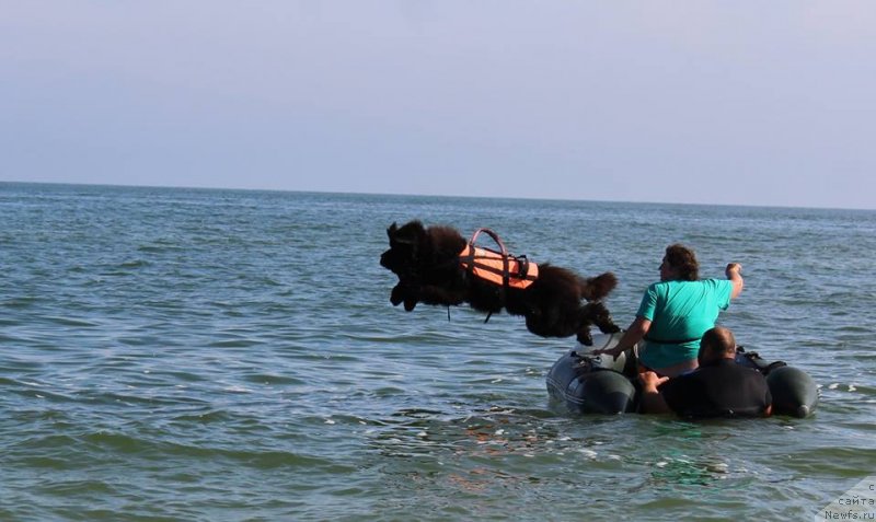 Фотография № 238877