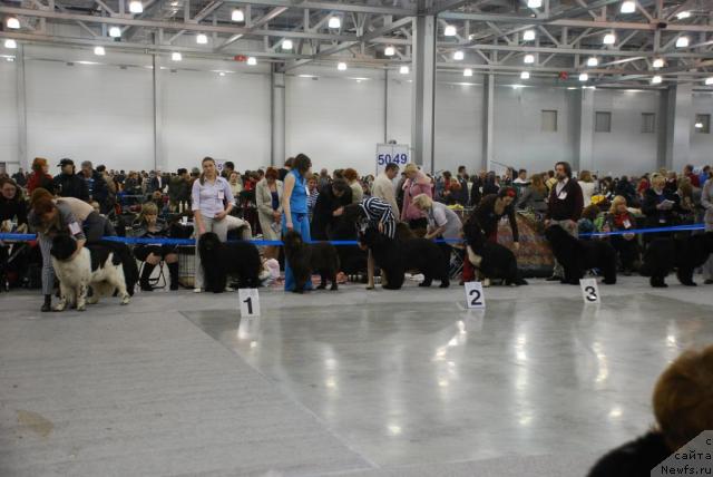 Фотография № 23890