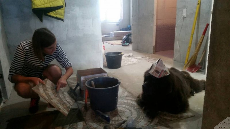 Фотография № 238902