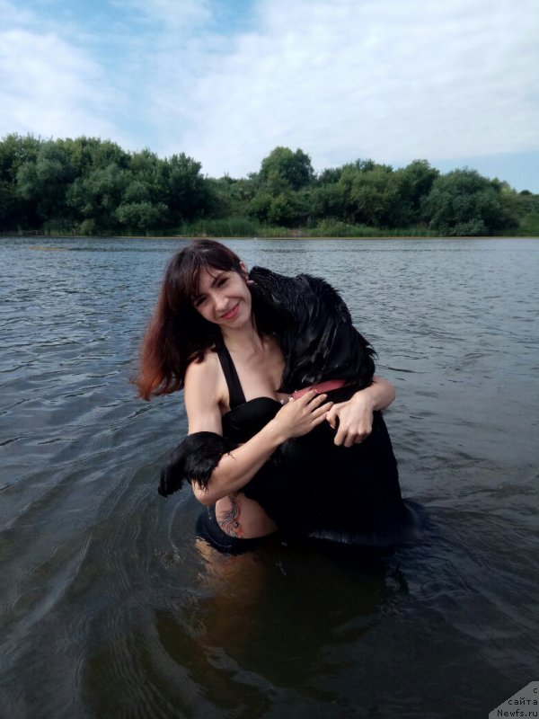 Фото: ньюфаундленд Prekrasnaya Patti (Прекрасная Патти), Mariya Ermachkova (Мария Ермачкова)