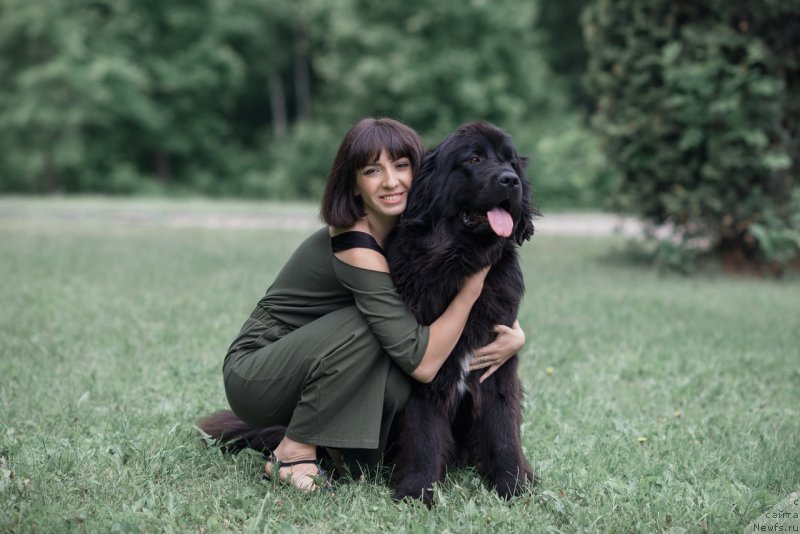 Фото: ньюфаундленд Prekrasnaya Patti (Прекрасная Патти), Mariya Ermachkova (Мария Ермачкова)