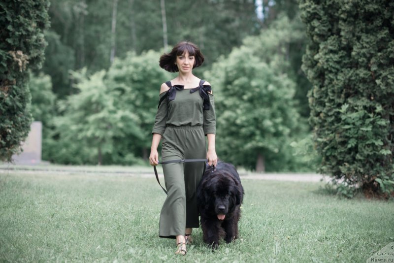 Фото: ньюфаундленд Prekrasnaya Patti (Прекрасная Патти), Mariya Ermachkova (Мария Ермачкова)