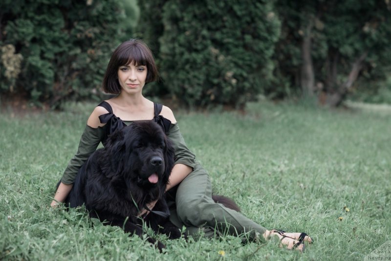 Фото: ньюфаундленд Prekrasnaya Patti (Прекрасная Патти), Mariya Ermachkova (Мария Ермачкова)