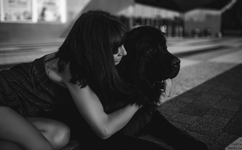Фото: ньюфаундленд Prekrasnaya Patti (Прекрасная Патти), Mariya Ermachkova (Мария Ермачкова)