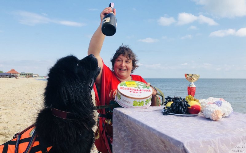 Фотография № 239113