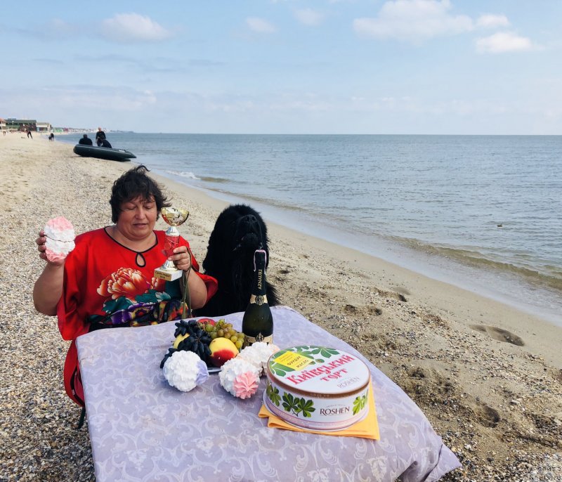 Фотография № 239114