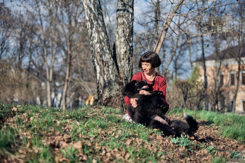 Фото: ньюфаундленд Belkonder-Klab Madam de Pompadur (Белкондер-Клаб Мадам де Помпадур), Mariya Ermachkova (Мария Ермачкова)