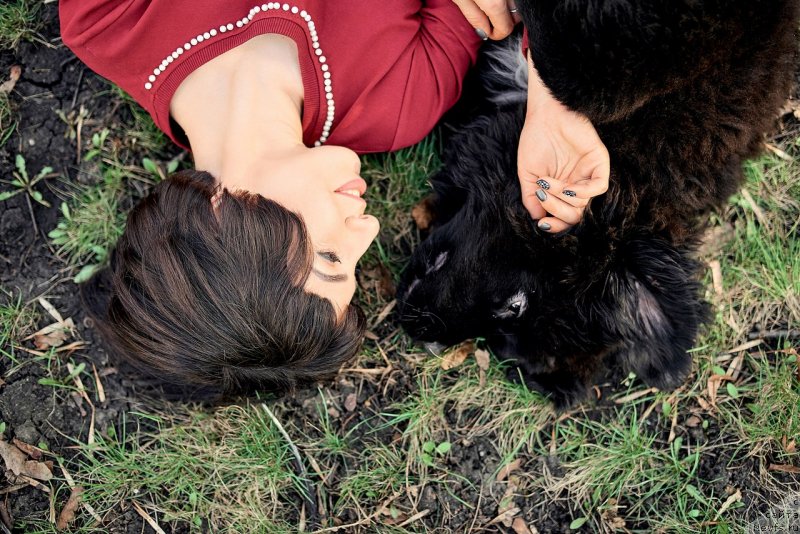 Фото: ньюфаундленд Belkonder-Klab Madam de Pompadur (Белкондер-Клаб Мадам де Помпадур), Mariya Ermachkova (Мария Ермачкова)