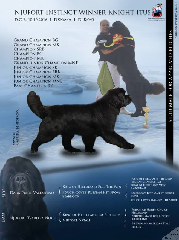 Фотография № 239320