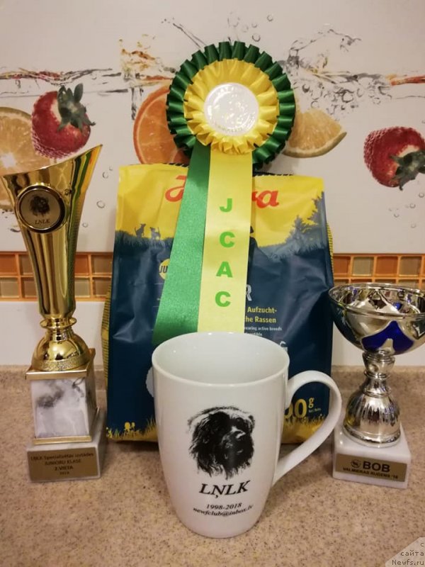 Фотография № 239322