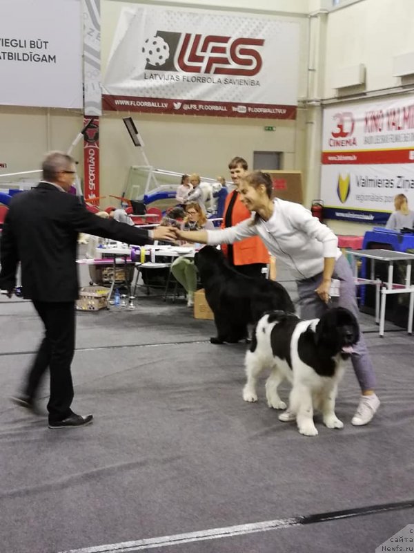 Фотография № 239324