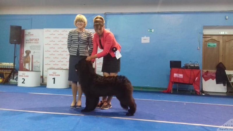 Фотография № 239325