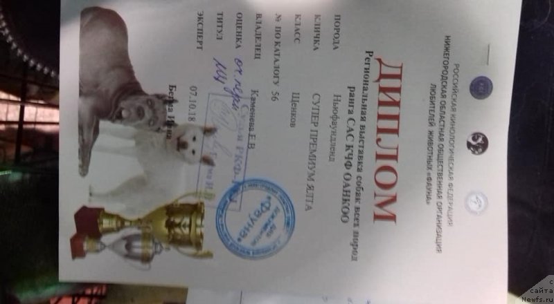 Фотография № 239326