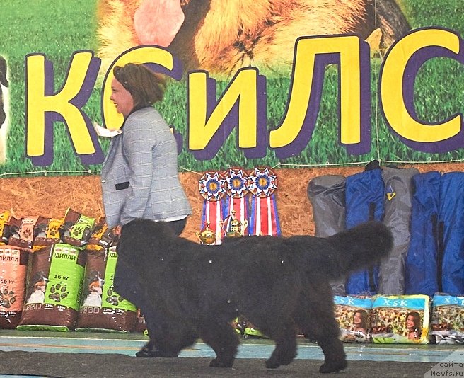 Фотография № 239336