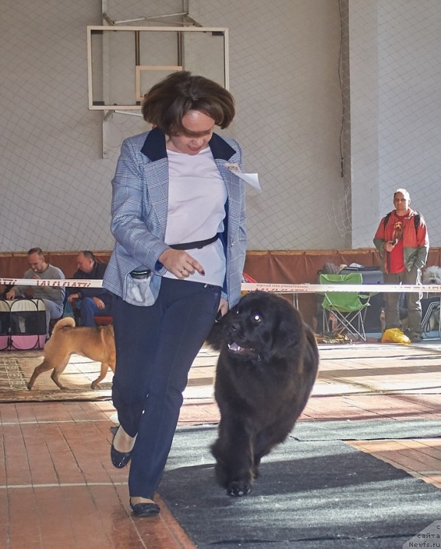 Фотография № 239339