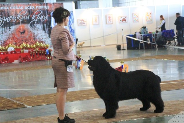 Фотография № 239341