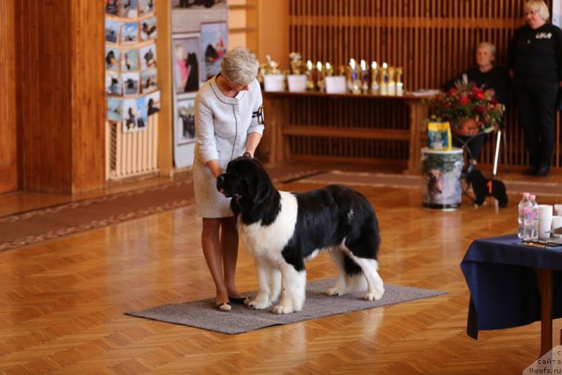 Фотография № 239348