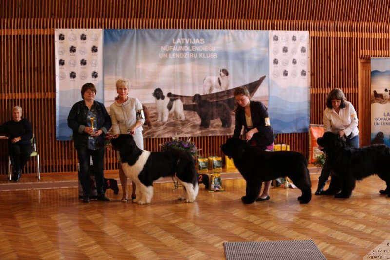 Фотография № 239349