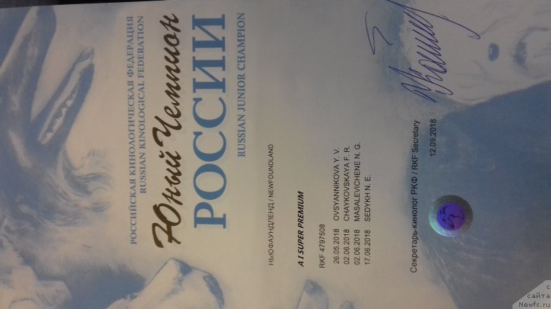 Фотография № 239359