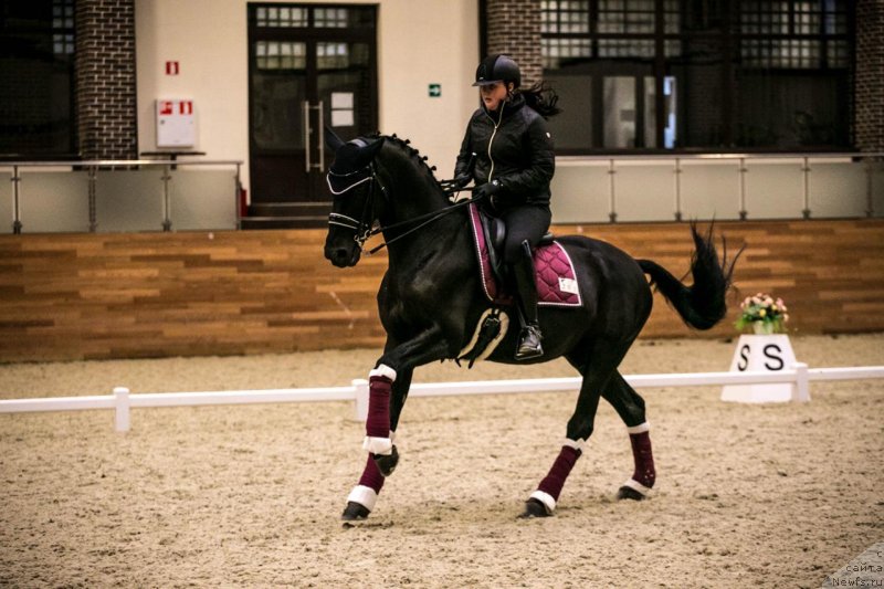 Фотография № 239369