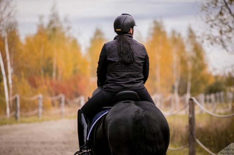 Фотография № 239370