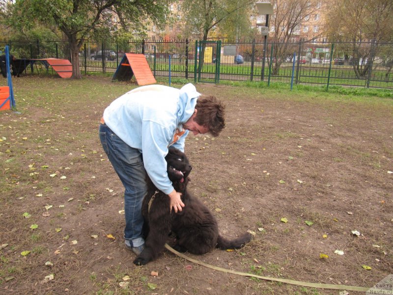 Фотография № 239374