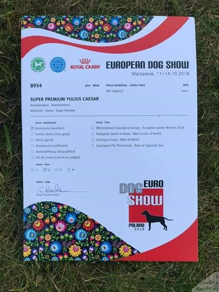 Фотография № 239384