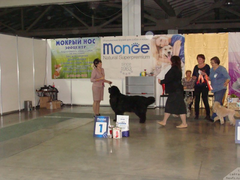 Фотография № 239400