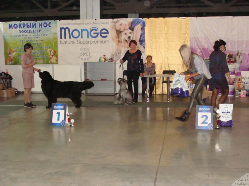 Фотография № 239401