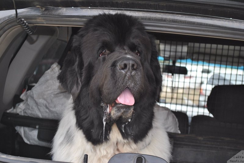 Фотография № 239404