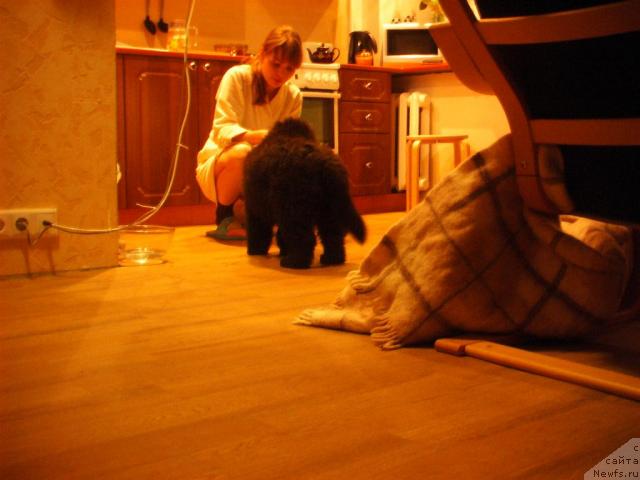 Фото: Dmitriy Erofeev (Дмитрий Ерофеев)