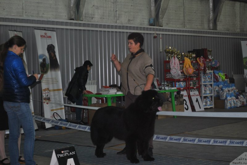 Фотография № 239555