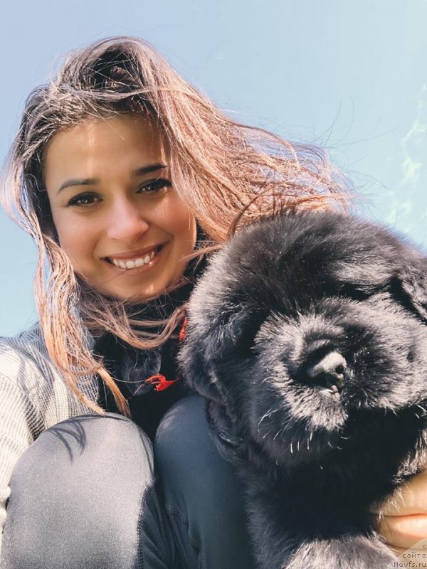 Фотография № 239593