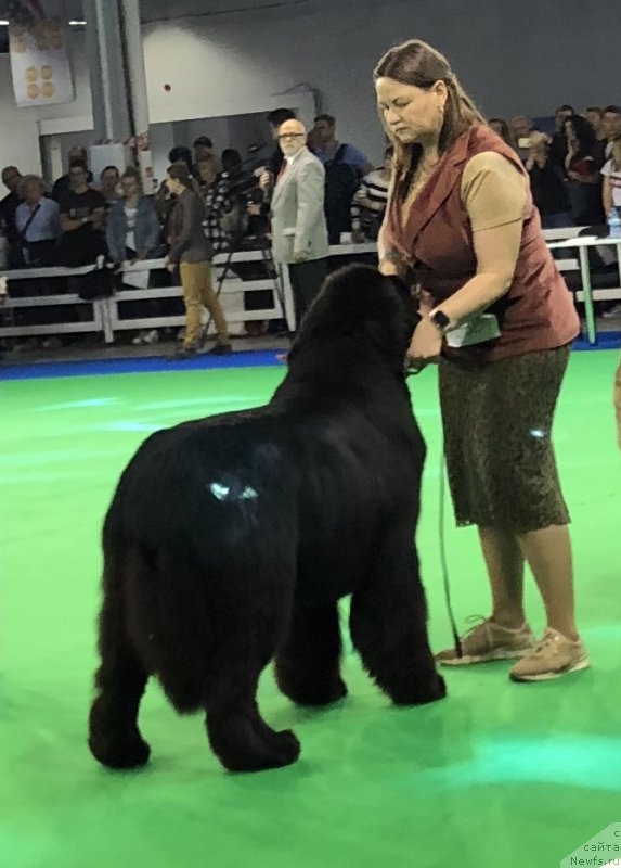 Фотография № 239594