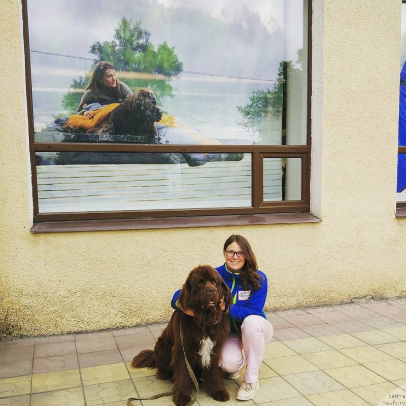 Фотография № 239605