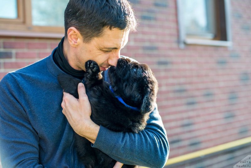 Фото: Aleksandr Korotkov (Александр Коротков), ньюфаундленд Smigar Glen Ellen (Смигар Глен Эллен)
