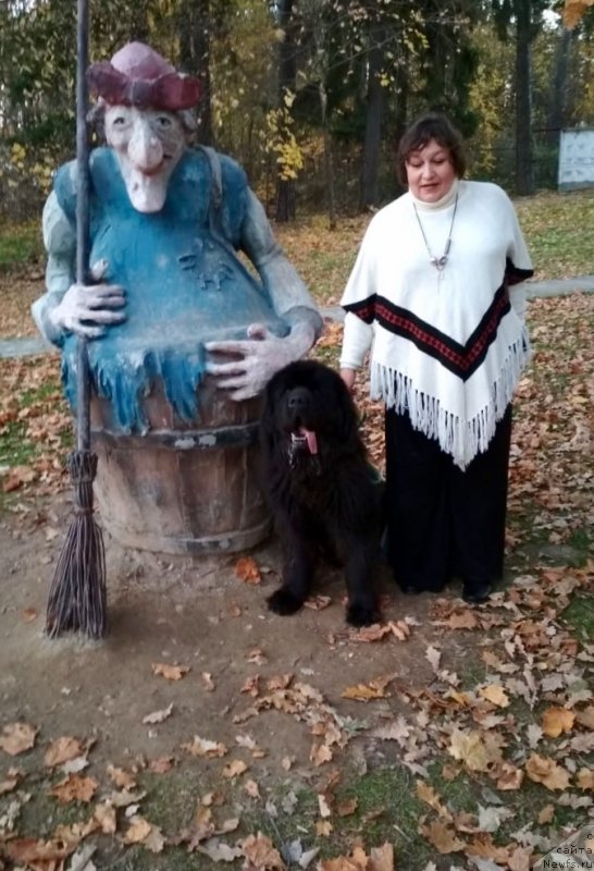 Фотография № 239663