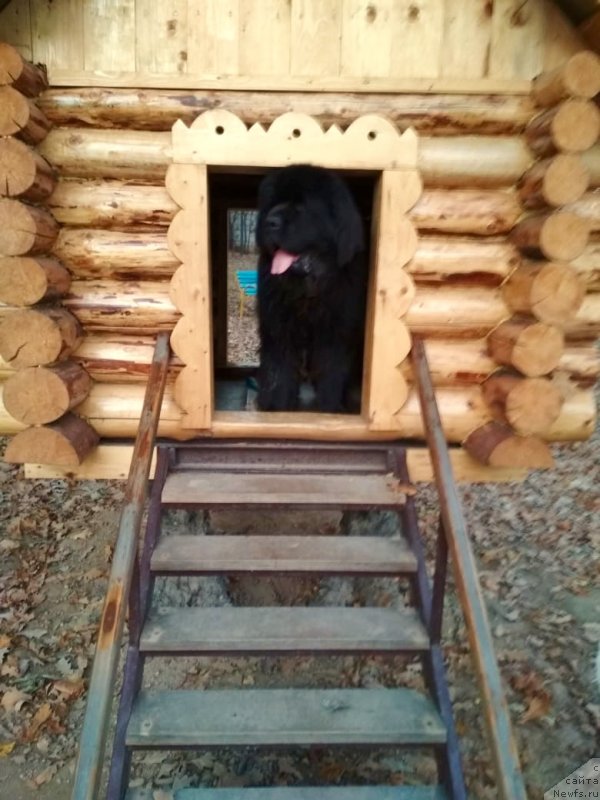 Фотография № 239664