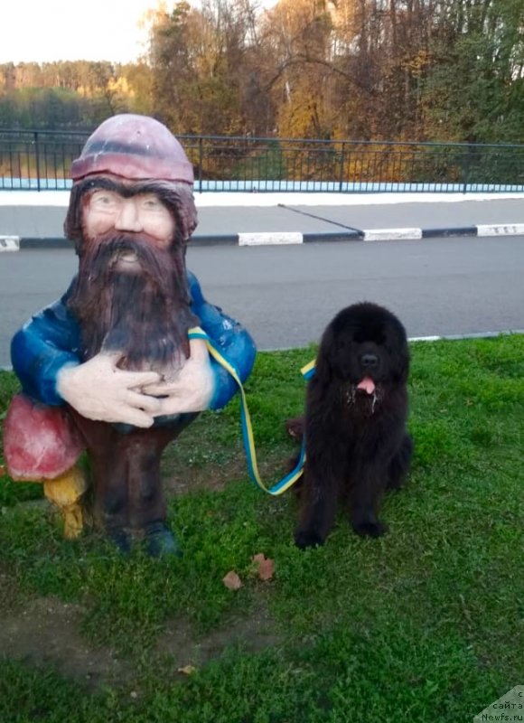 Фотография № 239668