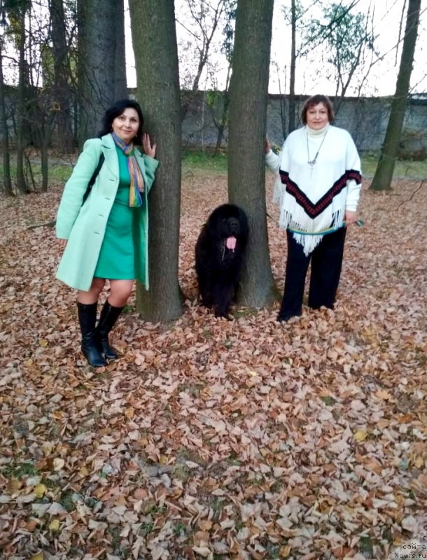 Фотография № 239674