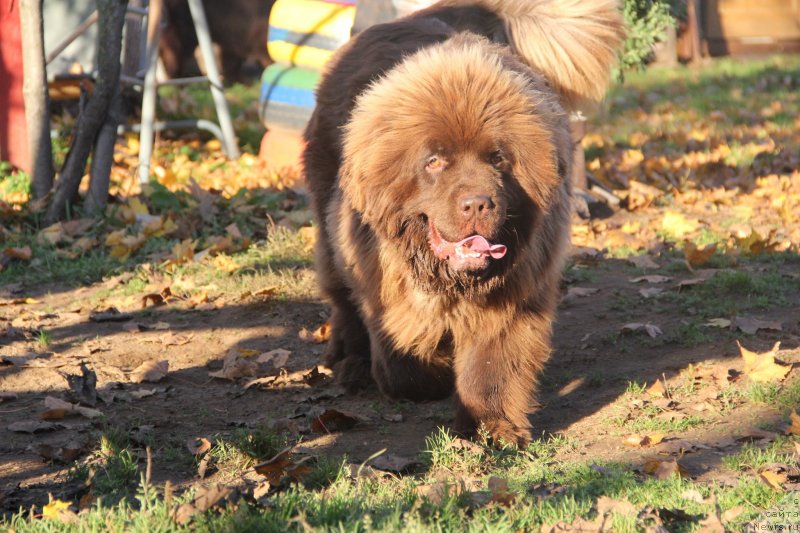 Фотография № 239691