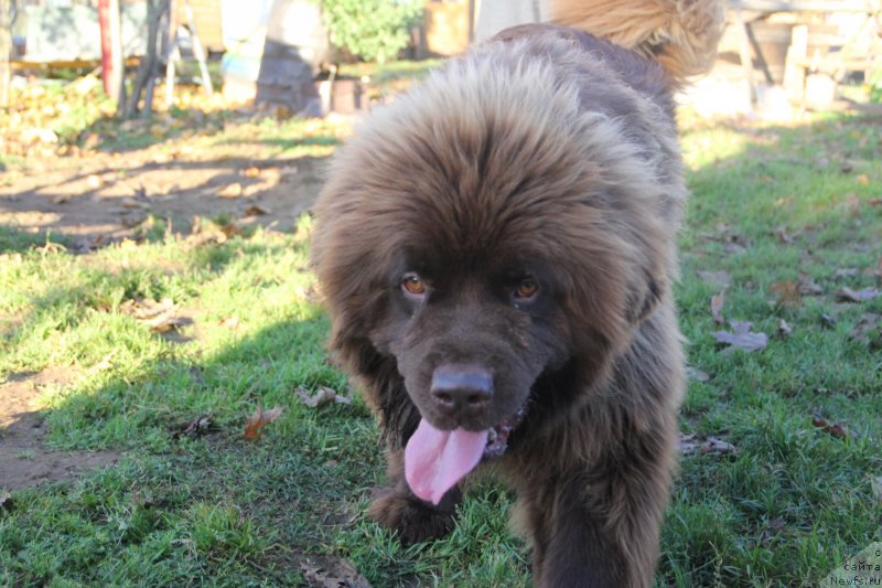 Фотография № 239692